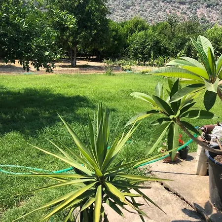 Gokova Home's Lejlighed